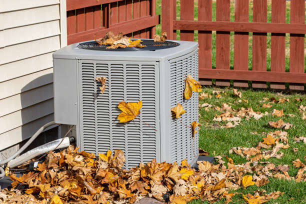 Best HVAC installation services  in Cadott, WI